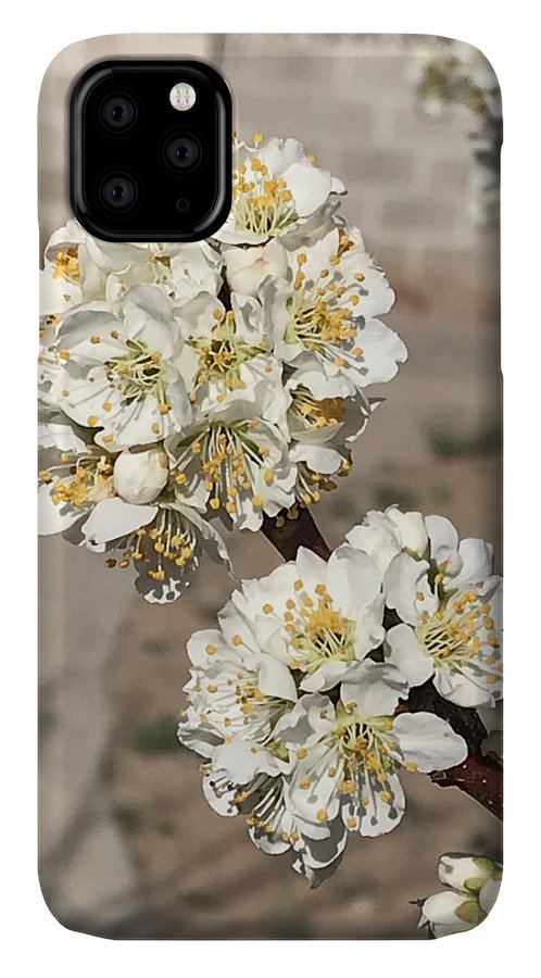 Bridal Bouquets - Phone Case