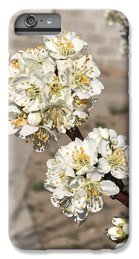 Bridal Bouquets - Phone Case