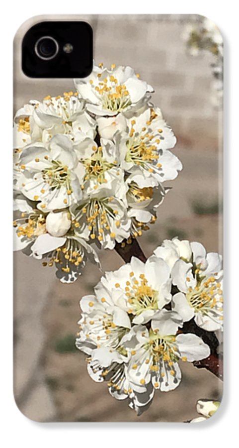 Bridal Bouquets - Phone Case