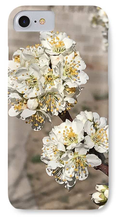 Bridal Bouquets - Phone Case