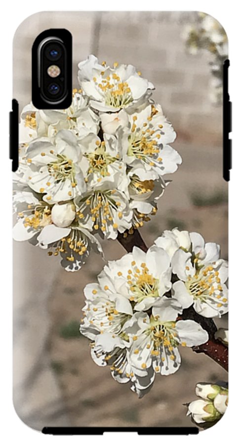 Bridal Bouquets - Phone Case