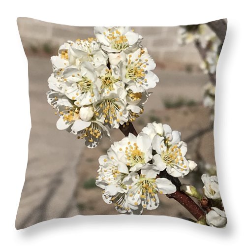 Bridal Bouquets - Throw Pillow