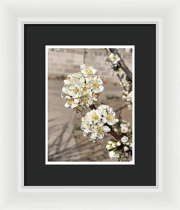 Bridal Bouquets - Framed Print