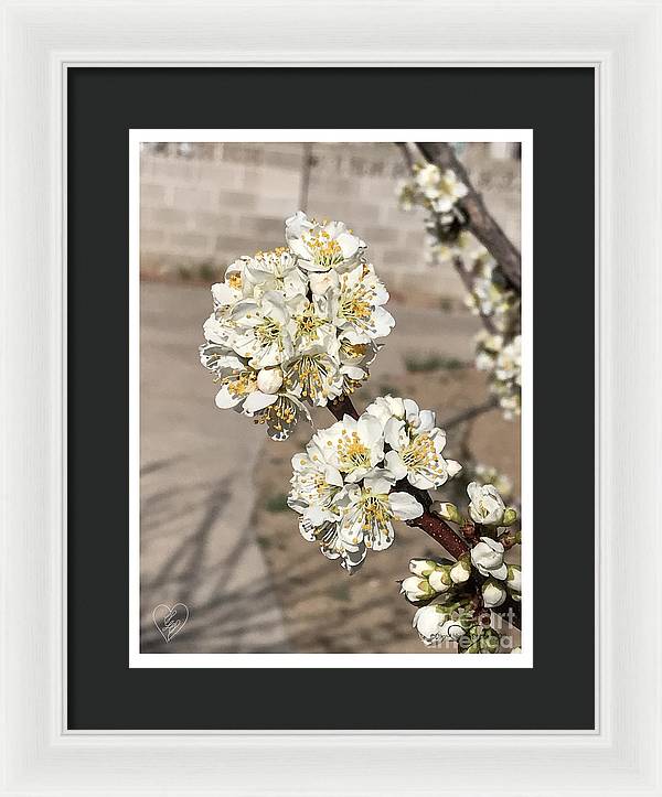 Bridal Bouquets - Framed Print