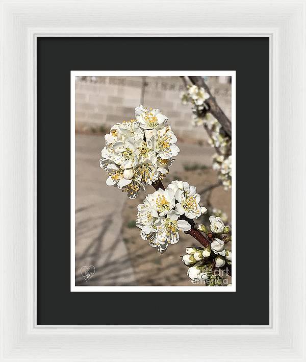 Bridal Bouquets - Framed Print