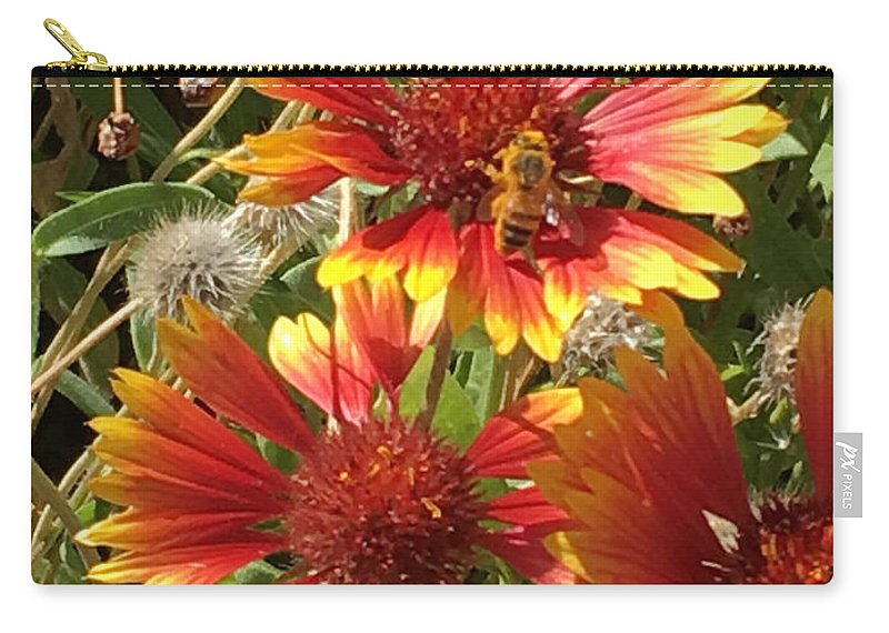 Busy Bee - Zip Pouch