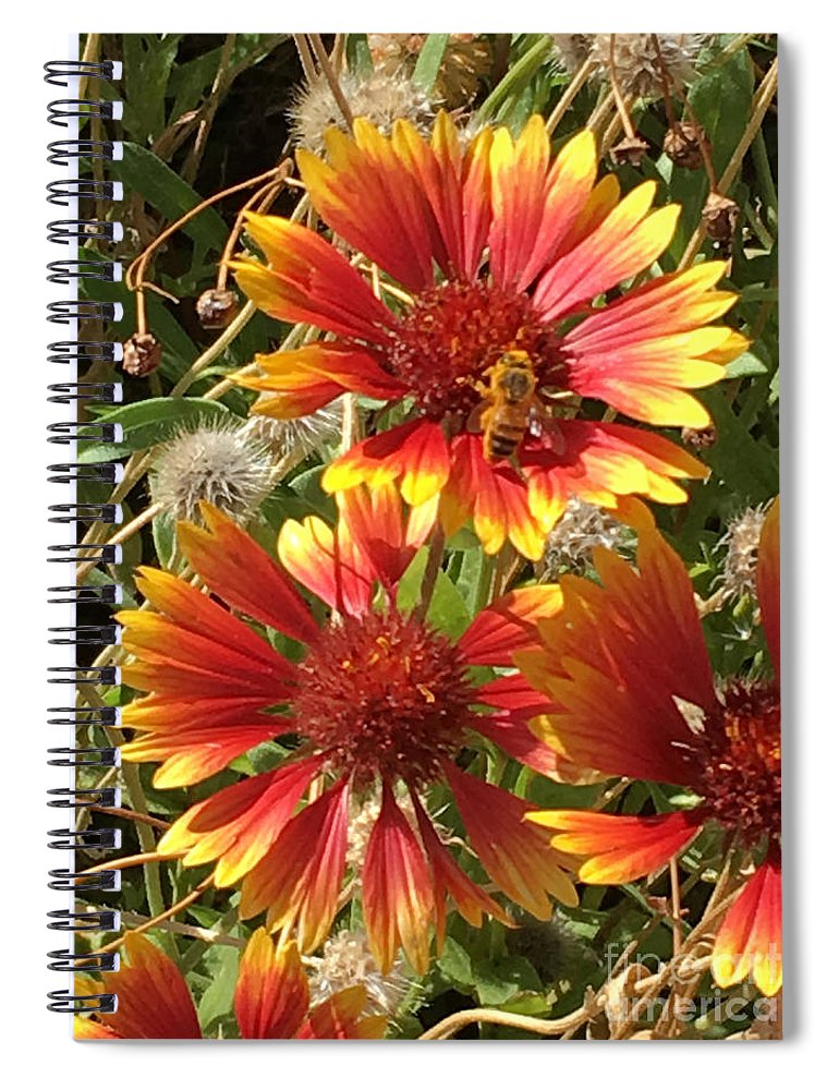 Busy Bee - Spiral Notebook