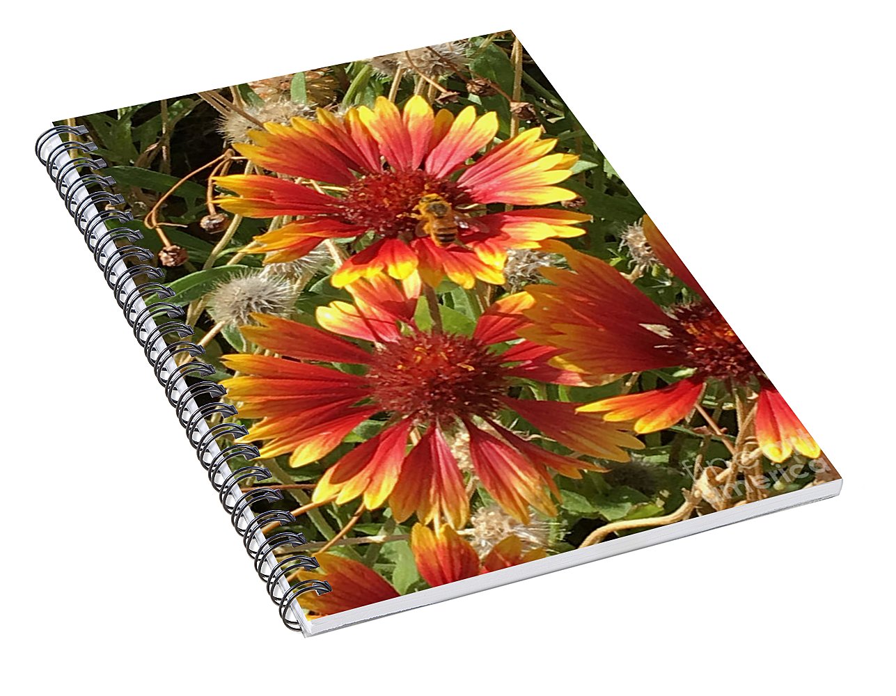 Busy Bee - Spiral Notebook