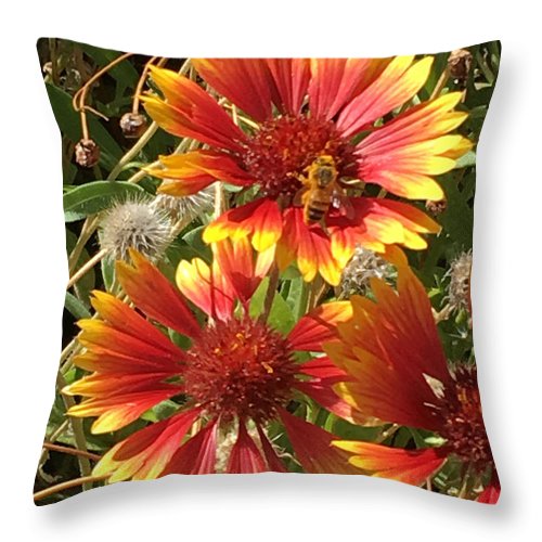 Busy Bee - Throw Pillow