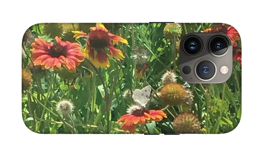 Butterfly on Gaillardia - Phone Case