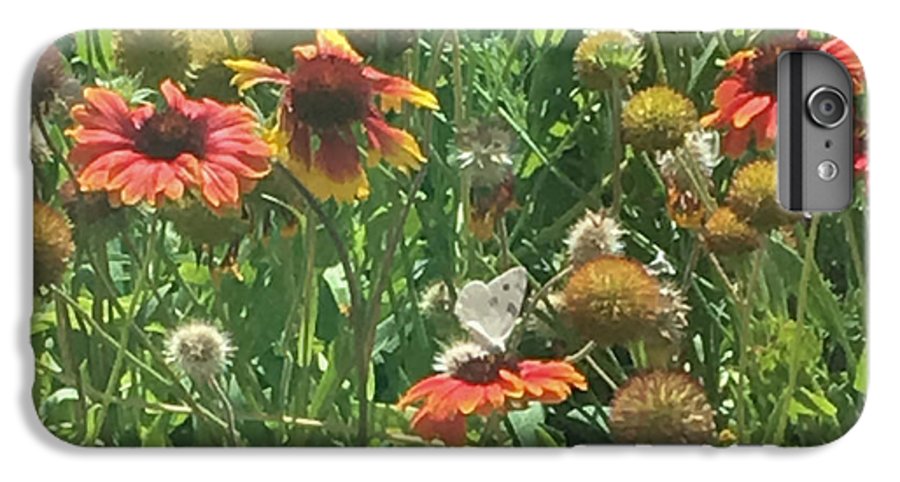 Butterfly on Gaillardia - Phone Case