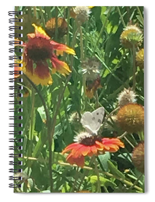 Butterfly on Gaillardia - Spiral Notebook