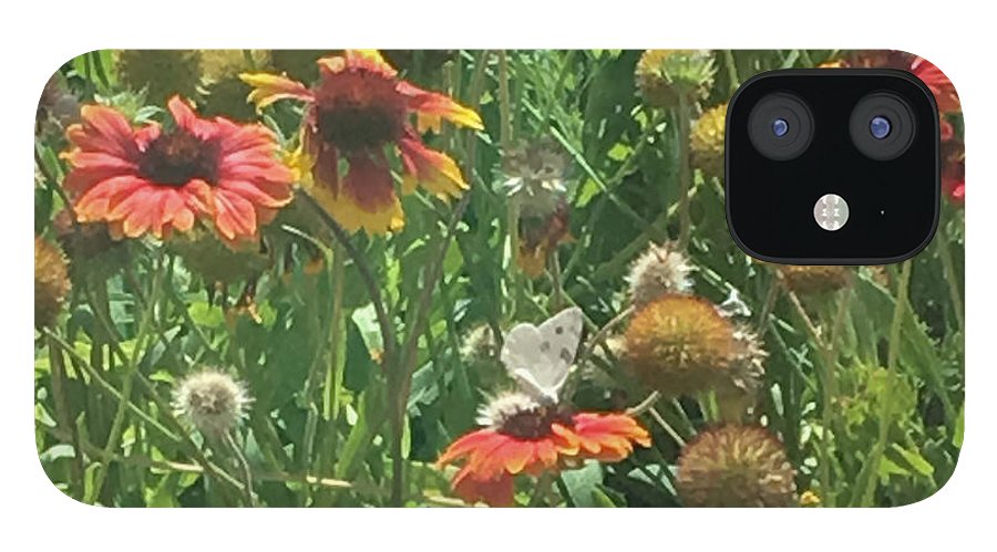 Butterfly on Gaillardia - Phone Case