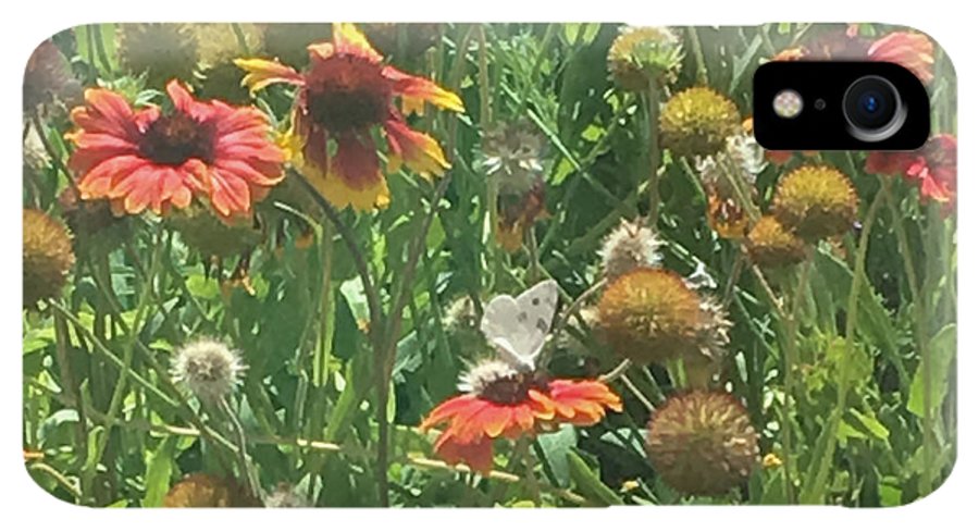 Butterfly on Gaillardia - Phone Case