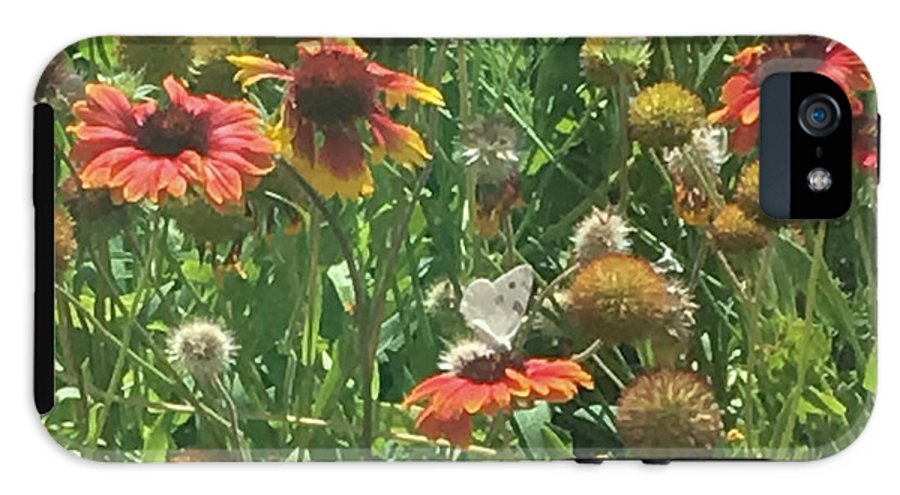 Butterfly on Gaillardia - Phone Case