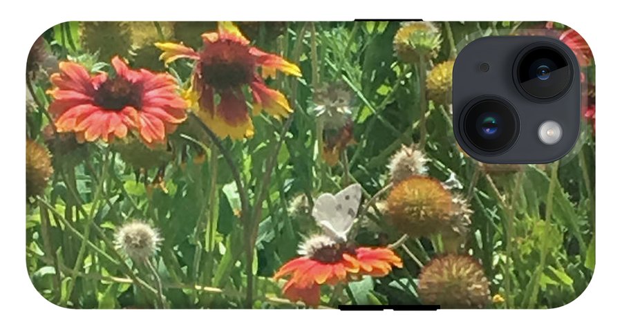 Butterfly on Gaillardia - Phone Case