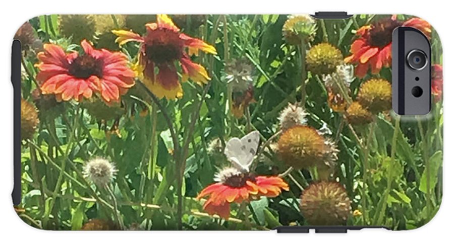 Butterfly on Gaillardia - Phone Case