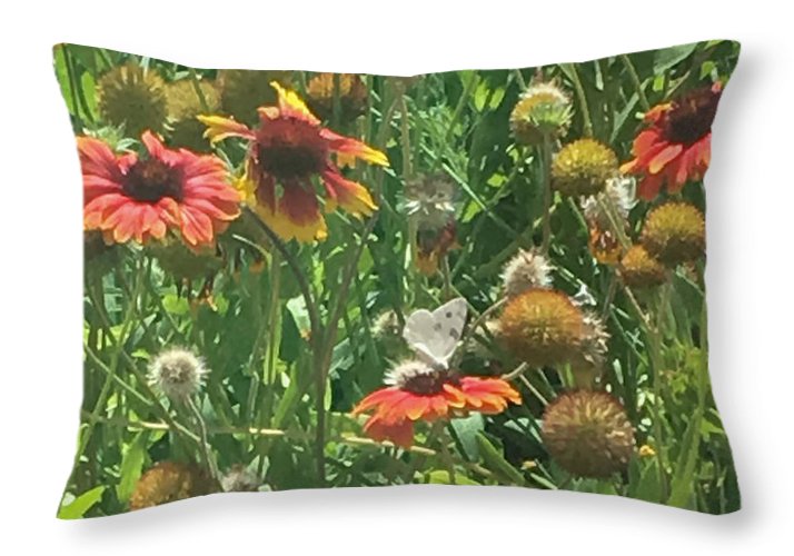 Butterfly on Gaillardia - Throw Pillow