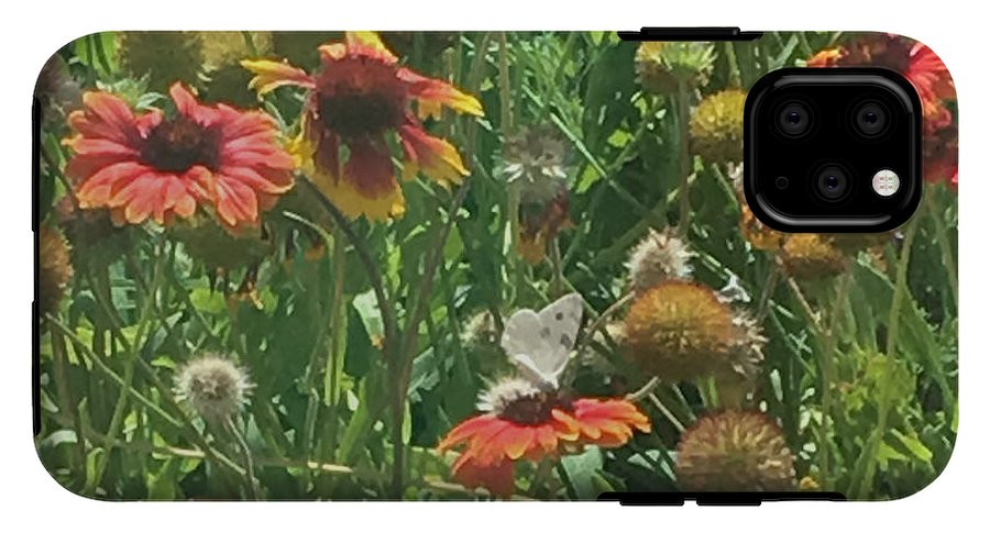 Butterfly on Gaillardia - Phone Case