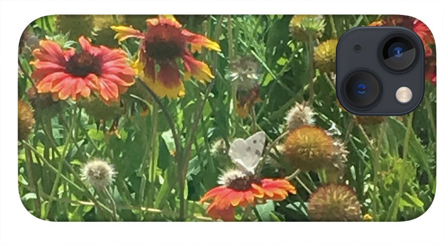 Butterfly on Gaillardia - Phone Case