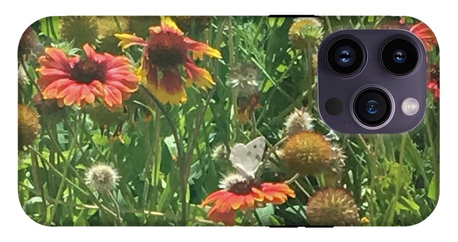 Butterfly on Gaillardia - Phone Case