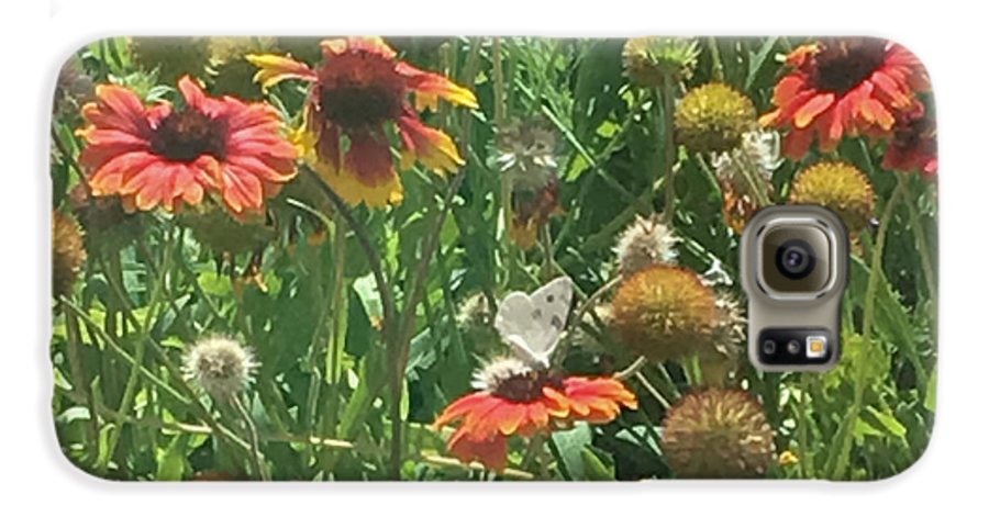 Butterfly on Gaillardia - Phone Case