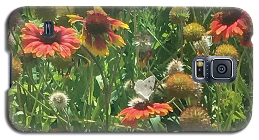 Butterfly on Gaillardia - Phone Case