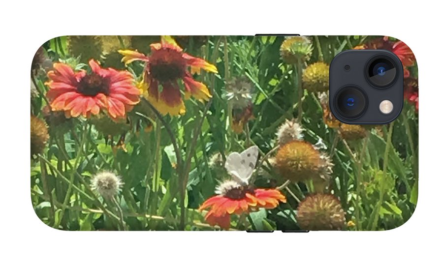 Butterfly on Gaillardia - Phone Case