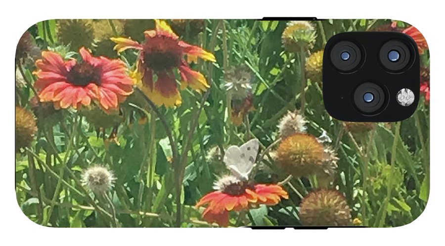 Butterfly on Gaillardia - Phone Case