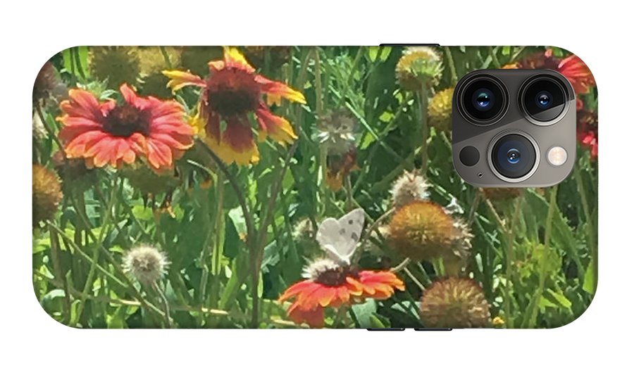 Butterfly on Gaillardia - Phone Case