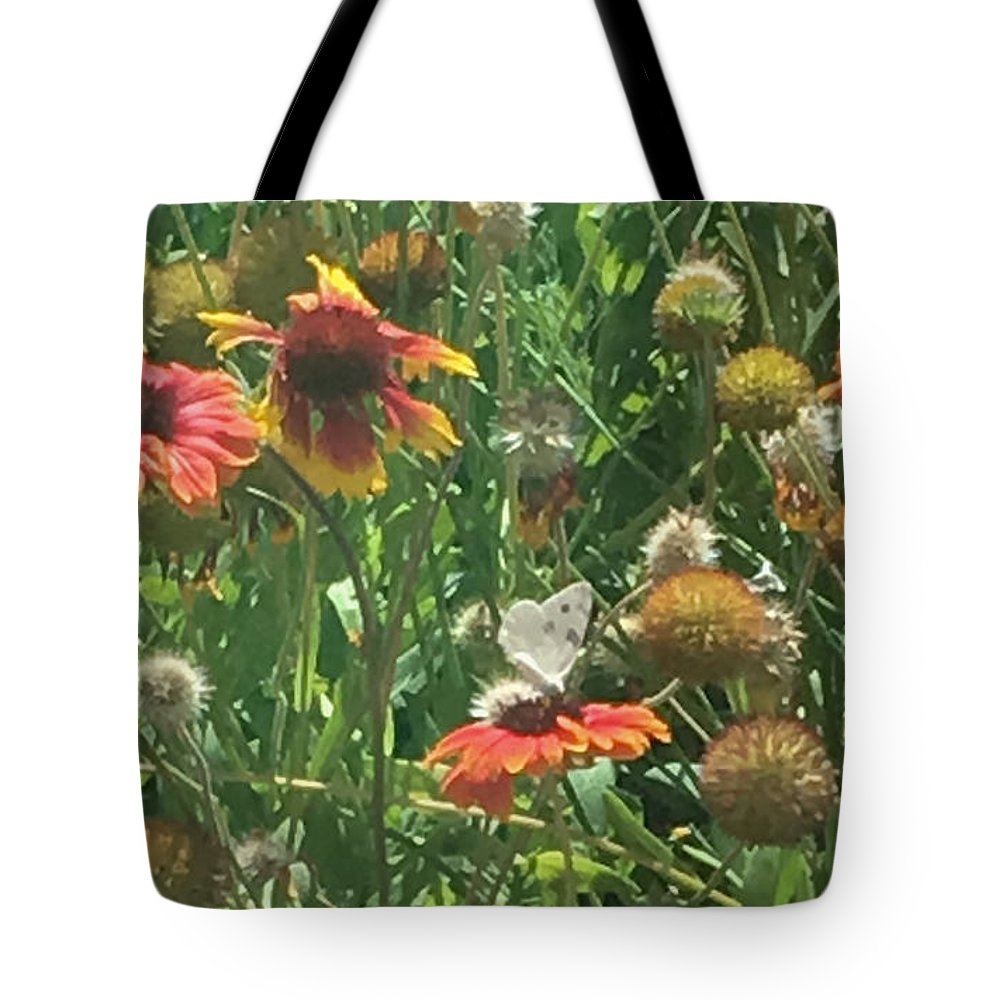 Butterfly on Gaillardia - Tote Bag