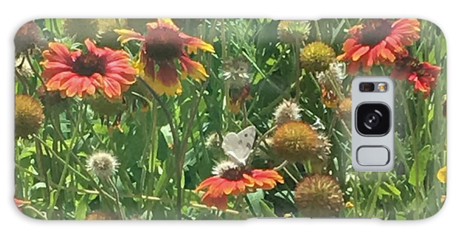 Butterfly on Gaillardia - Phone Case