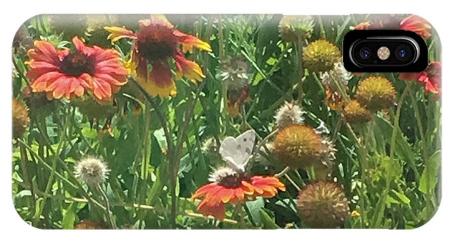 Butterfly on Gaillardia - Phone Case