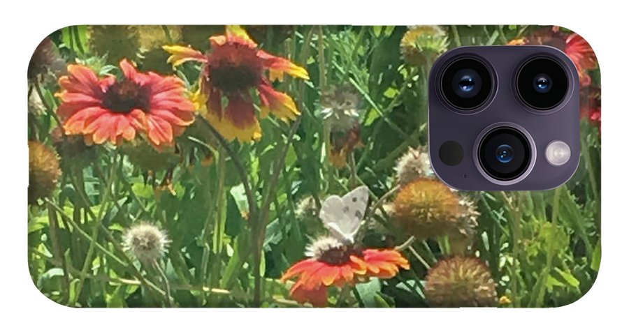 Butterfly on Gaillardia - Phone Case