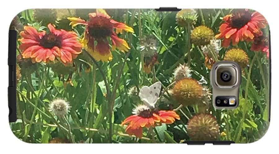 Butterfly on Gaillardia - Phone Case