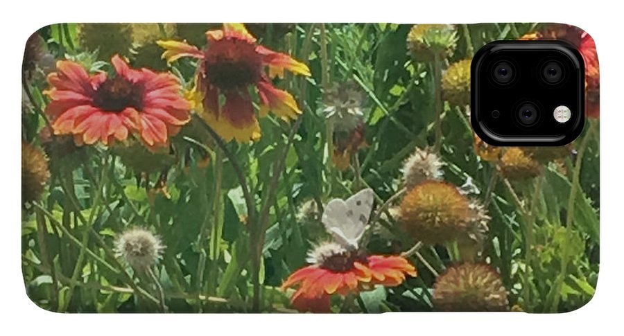 Butterfly on Gaillardia - Phone Case