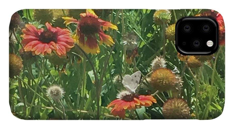 Butterfly on Gaillardia - Phone Case