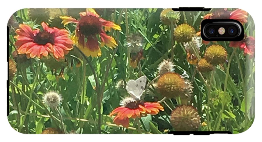 Butterfly on Gaillardia - Phone Case