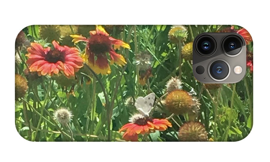 Butterfly on Gaillardia - Phone Case