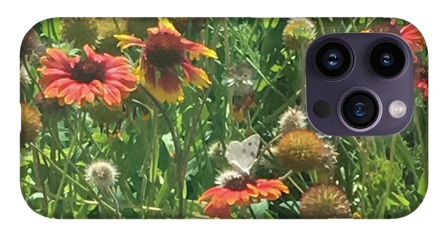 Butterfly on Gaillardia - Phone Case