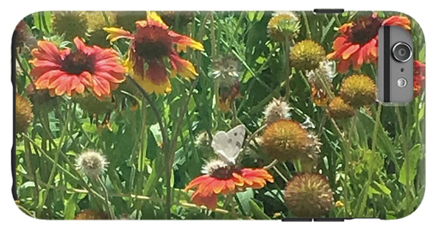 Butterfly on Gaillardia - Phone Case