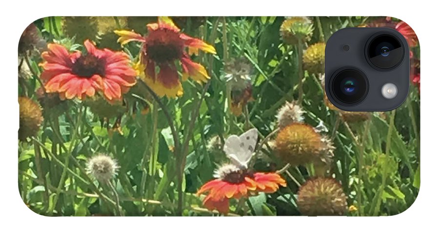 Butterfly on Gaillardia - Phone Case