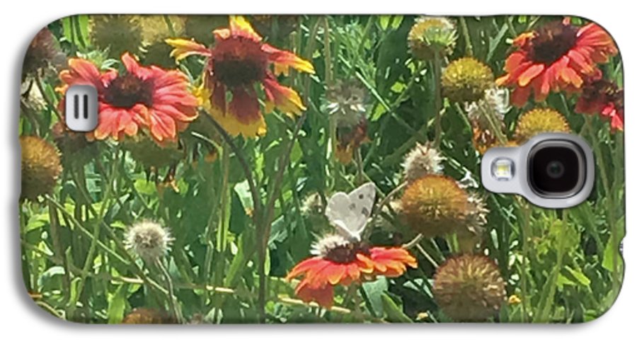 Butterfly on Gaillardia - Phone Case