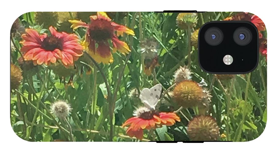 Butterfly on Gaillardia - Phone Case