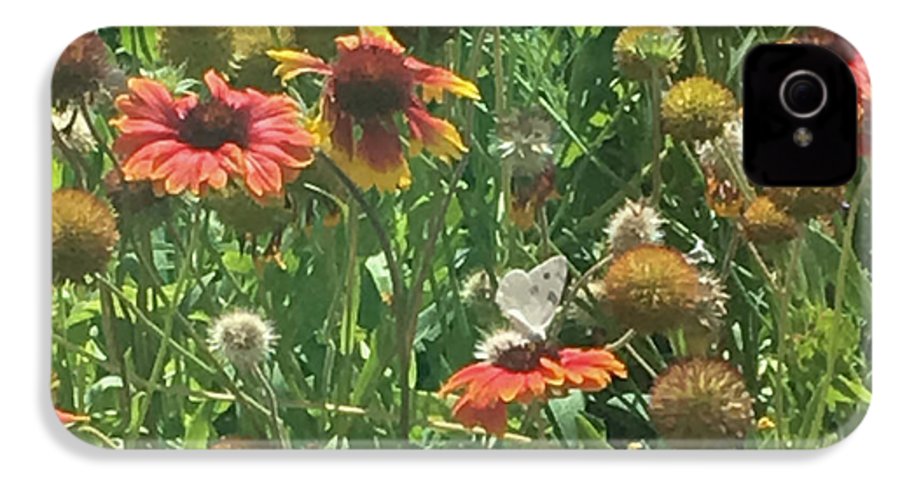 Butterfly on Gaillardia - Phone Case