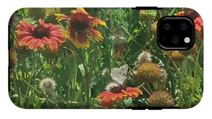 Butterfly on Gaillardia - Phone Case