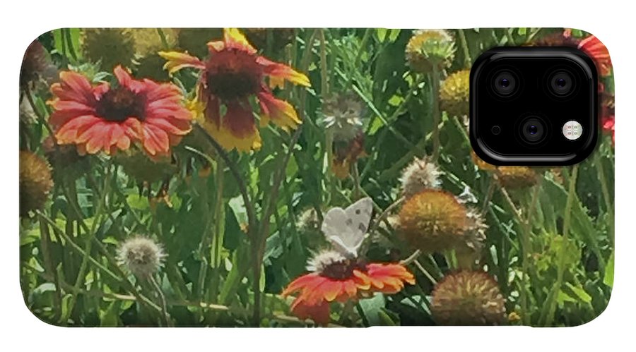 Butterfly on Gaillardia - Phone Case