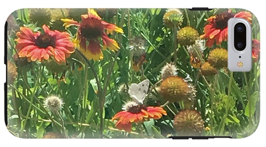 Butterfly on Gaillardia - Phone Case