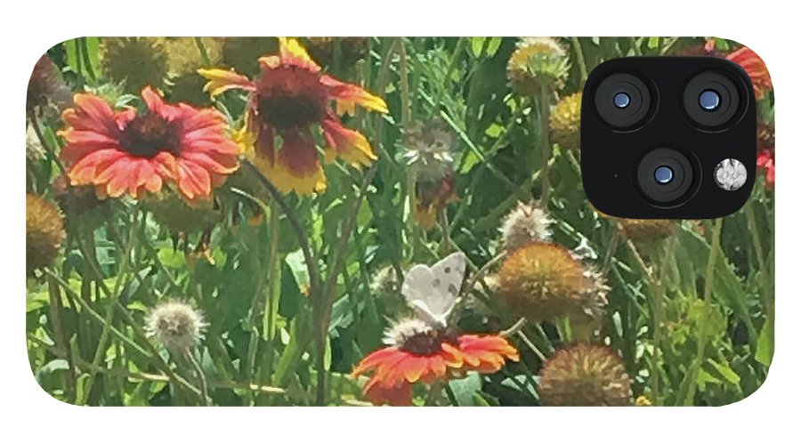 Butterfly on Gaillardia - Phone Case