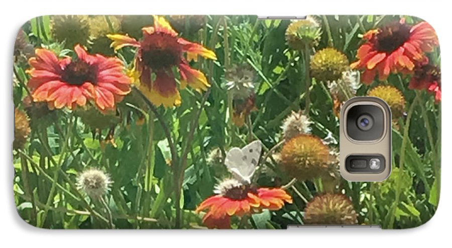 Butterfly on Gaillardia - Phone Case